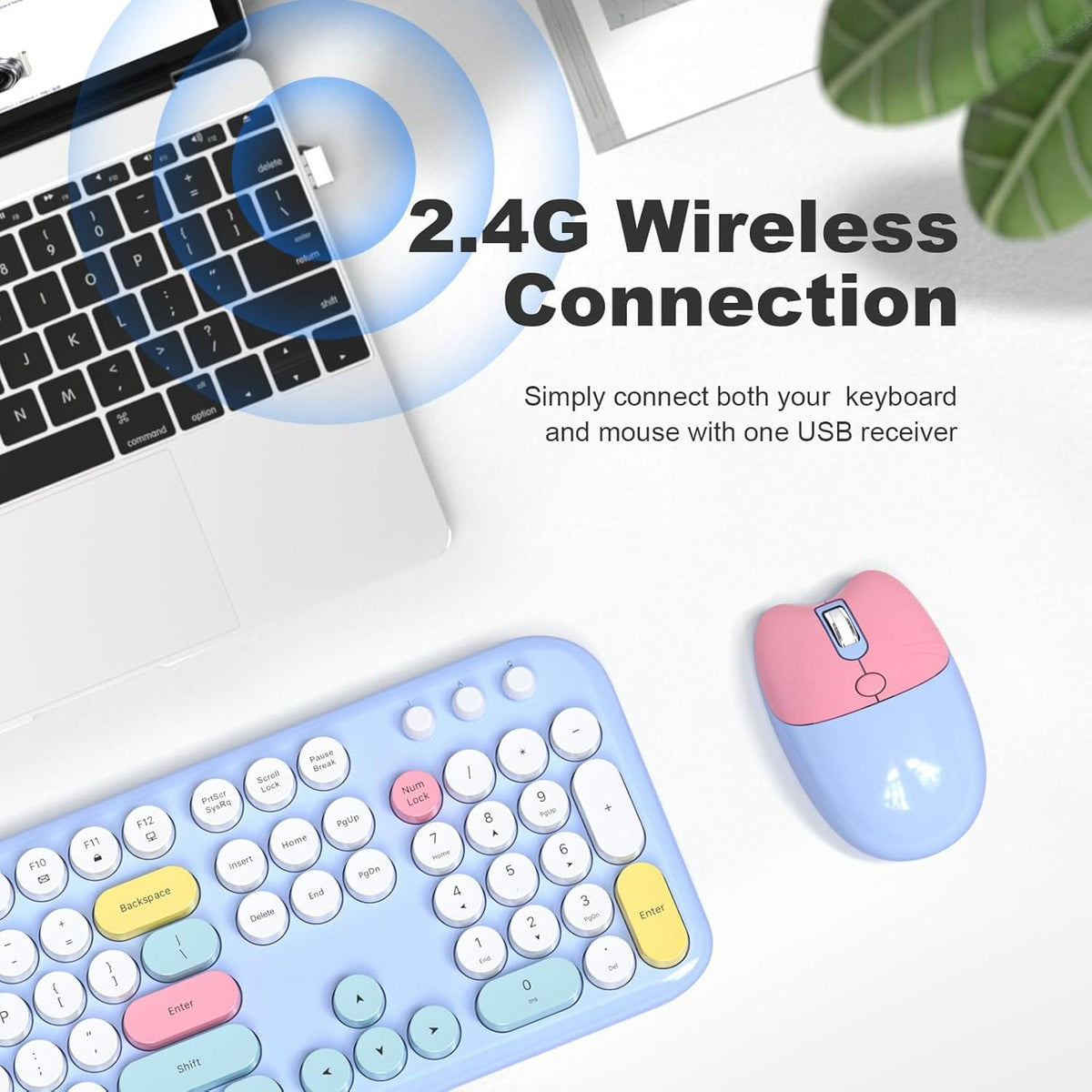 Wireless Keyboard & Mouse Combo with Silent Click