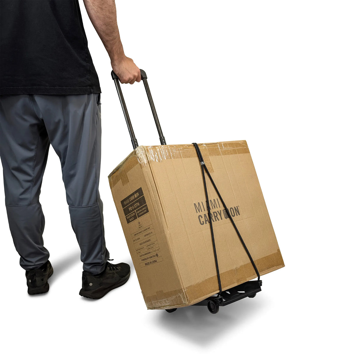 Folding Luggage Cart